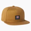 Casquette de skate Dickies Skateboarding Mid Pro Casquette de skate Dickies Skateboarding Mid Pro