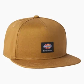 Casquette de skate Dickies Skateboarding Mid Pro