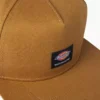 Casquette de skate Dickies Skateboarding Mid Pro Casquette de skate Dickies Skateboarding Mid Pro
