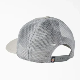 Casquette Trucker Dickies Skateboarding