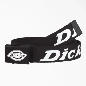 Ceinture Logo Web