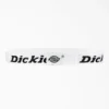 Ceinture Logo Web Ceinture Logo Web