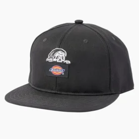 Chapeau à visière plate Dickies X Lurking Class