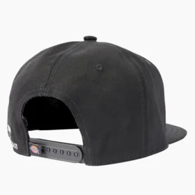Chapeau à visière plate Dickies X Lurking Class
