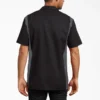 Chemise de travail à manches courtes bicolore Chemise de travail à manches courtes bicolore