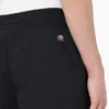 Dickies Skateboarding Grants Pass à coupe ample, 23 cm