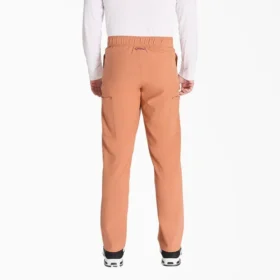 Pantalon de travail cargo Eds Nxt pour homme