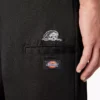 Pantalon Double Knee Dickies X Lurking Class à coupe classique