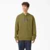 Sweat à capuche en molleton Dickies Skateboarding Relief Sweat à capuche en molleton Dickies Skateboarding Relief