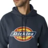 Sweat à capuche imperméable avec logo