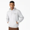 Sweat à capuche Payson