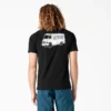 T-shirt graphique Dickies Skateboarding Pool Drainage