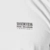 T-shirt graphique Dickies Skateboarding Pool Drainage T-shirt graphique Dickies Skateboarding Pool Drainage