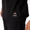 T-shirt graphique Dickies X Thrasher