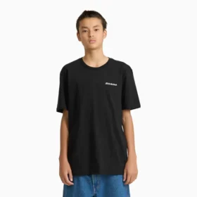 T-shirt graphique à manches courtes Americana Shield Shorts