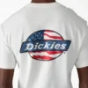 T-shirt à motif Americana Logo Fill T-shirt à motif Americana Logo Fill