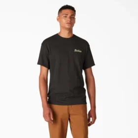 T-shirt à motif divisé Dickies Skateboarding